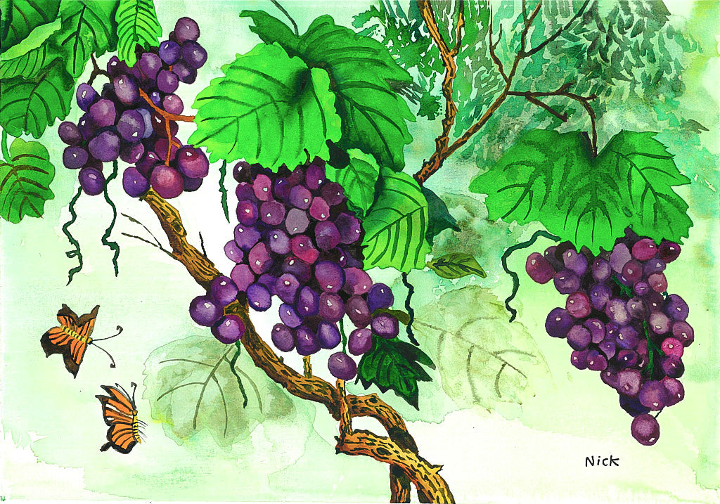 Grapes in Season