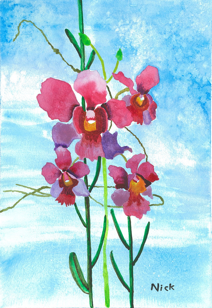Vanda Miss Joaquim