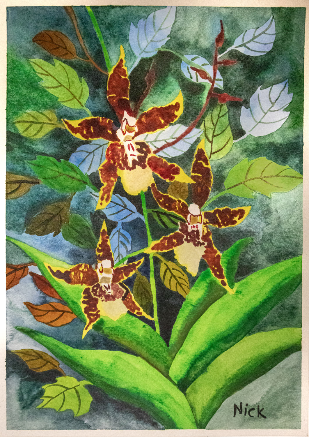 Rare Oncidium