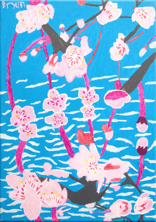 Cherry blossoms reflections on water