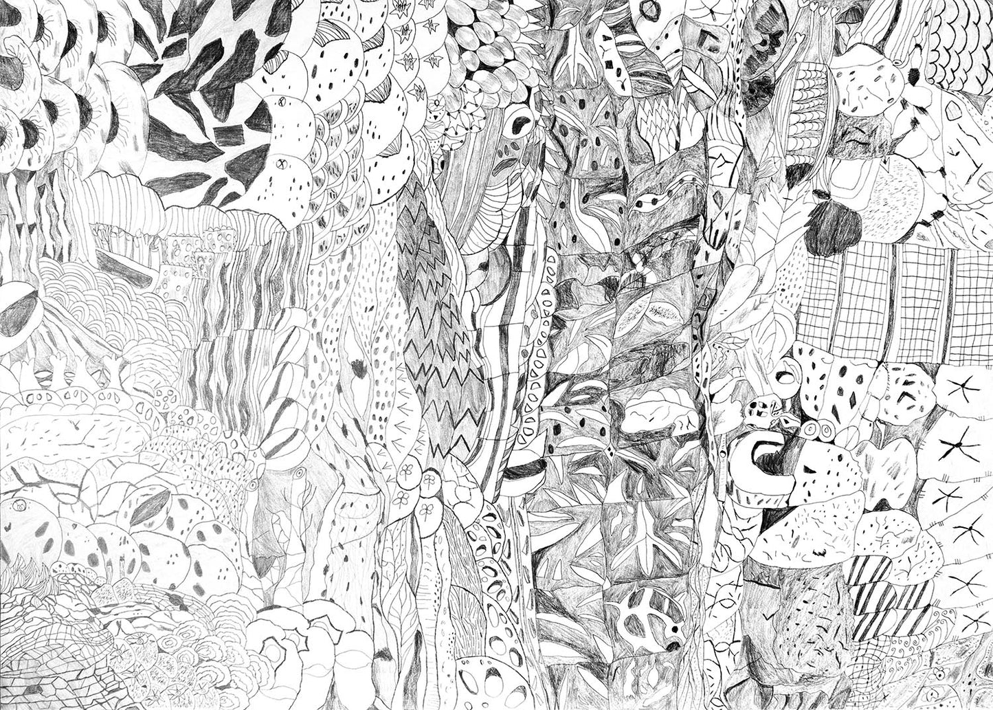 The Daily Travelling Line - Paper series