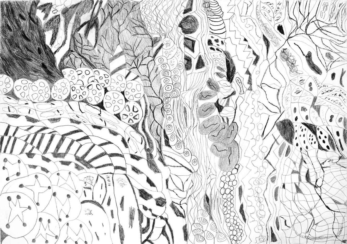 The Daily Travelling Line - Paper series