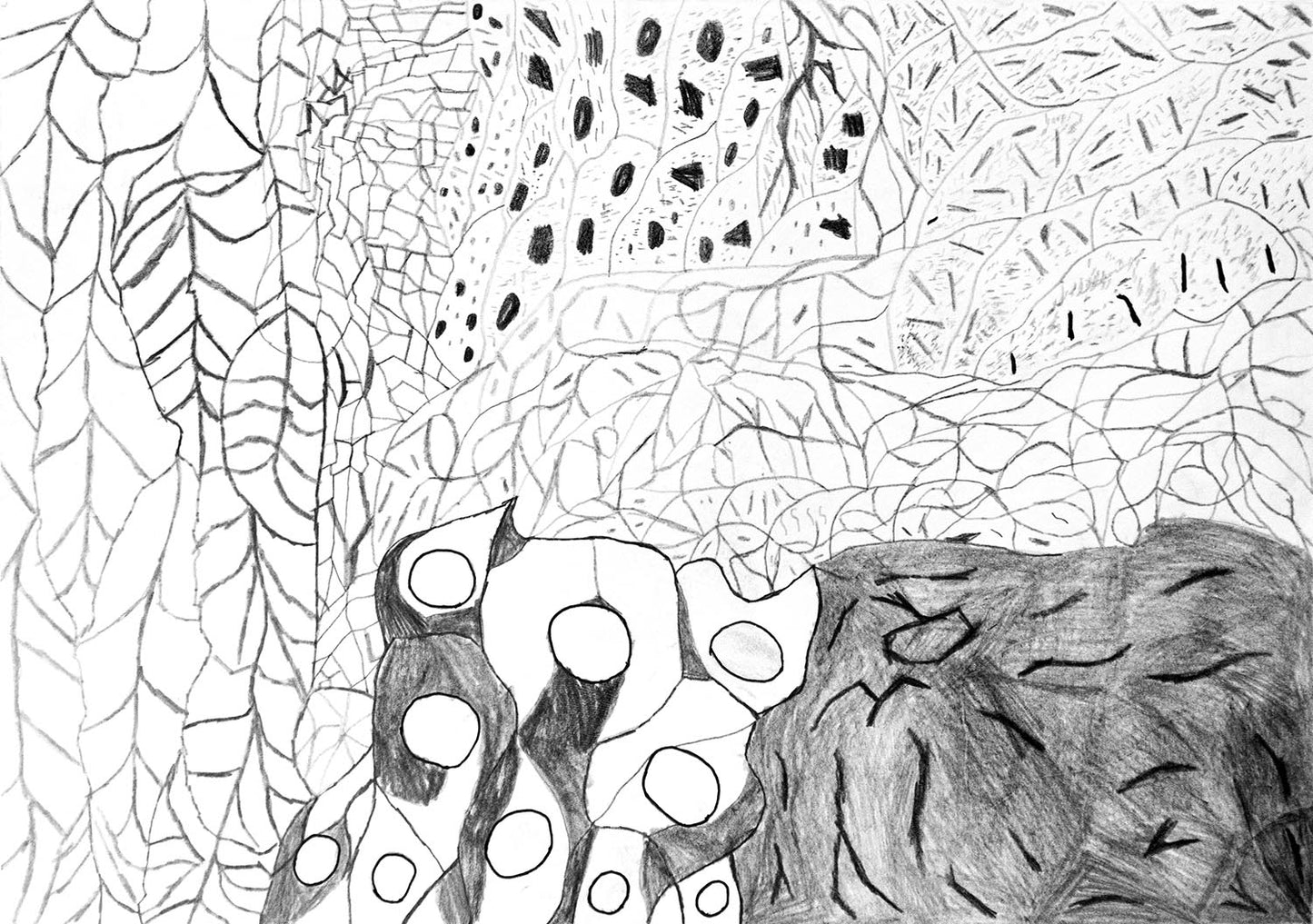 The Daily Travelling Line - Paper series