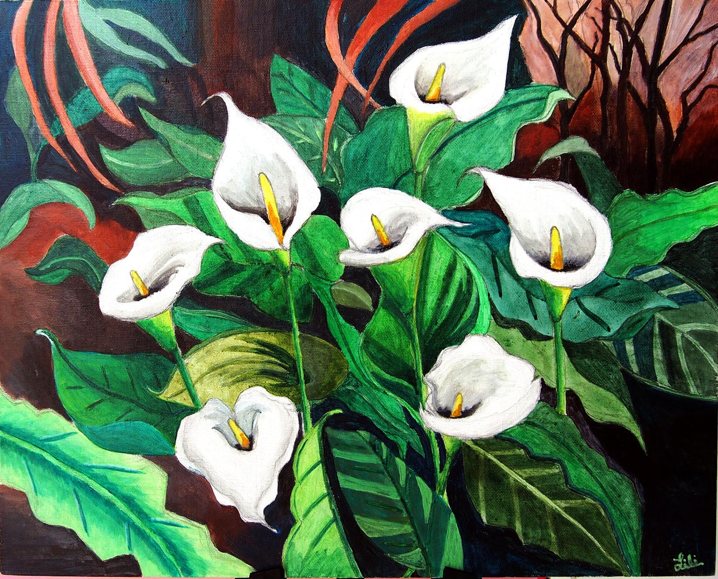 Calla Lilies