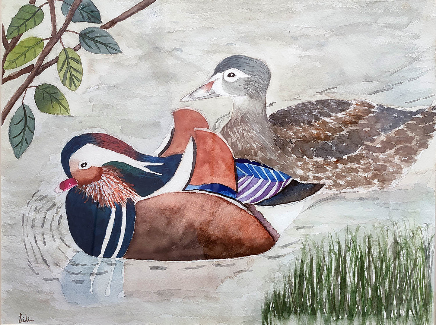 Mandarin Ducks