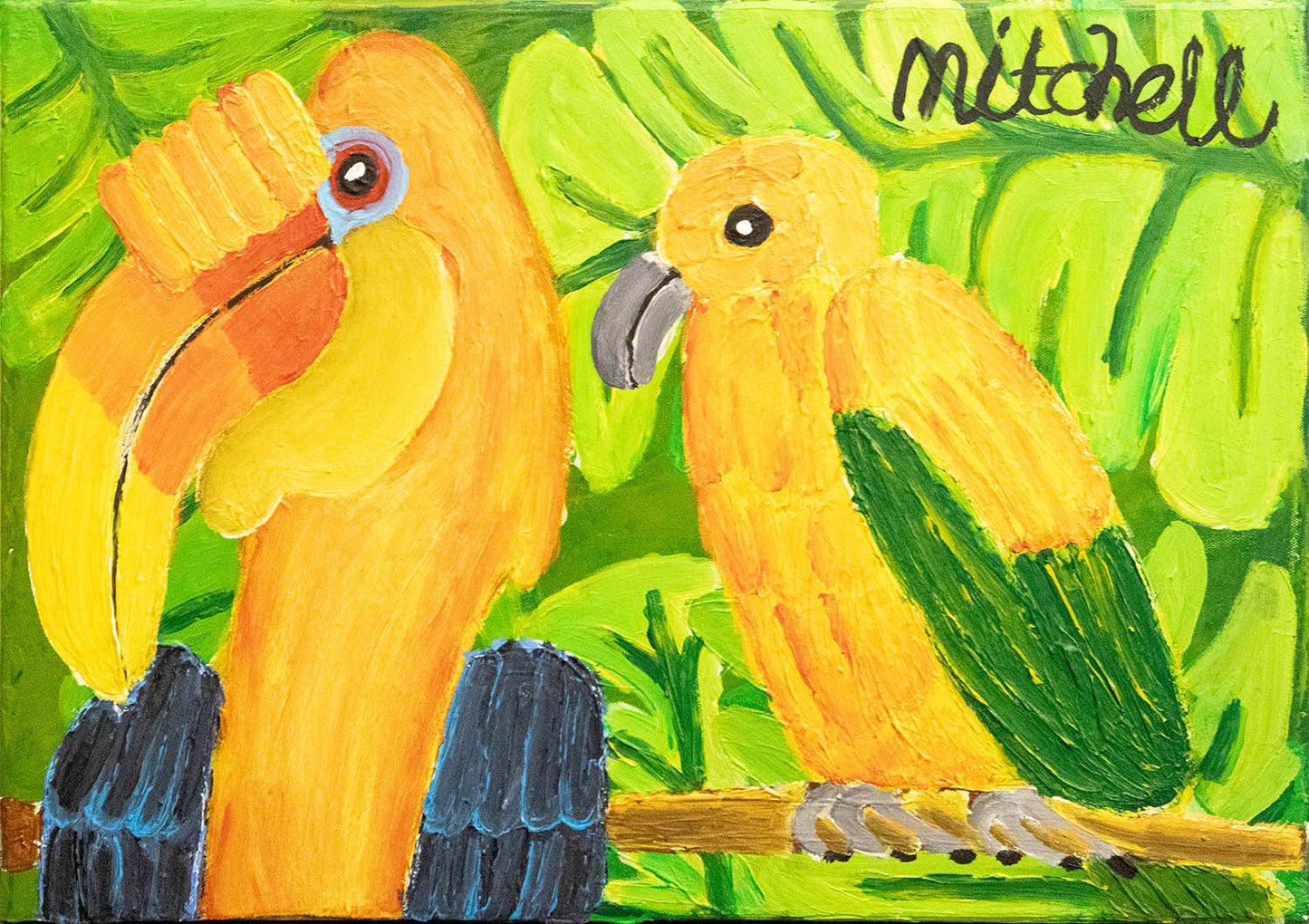 Tropical Birds & Parrots Collection