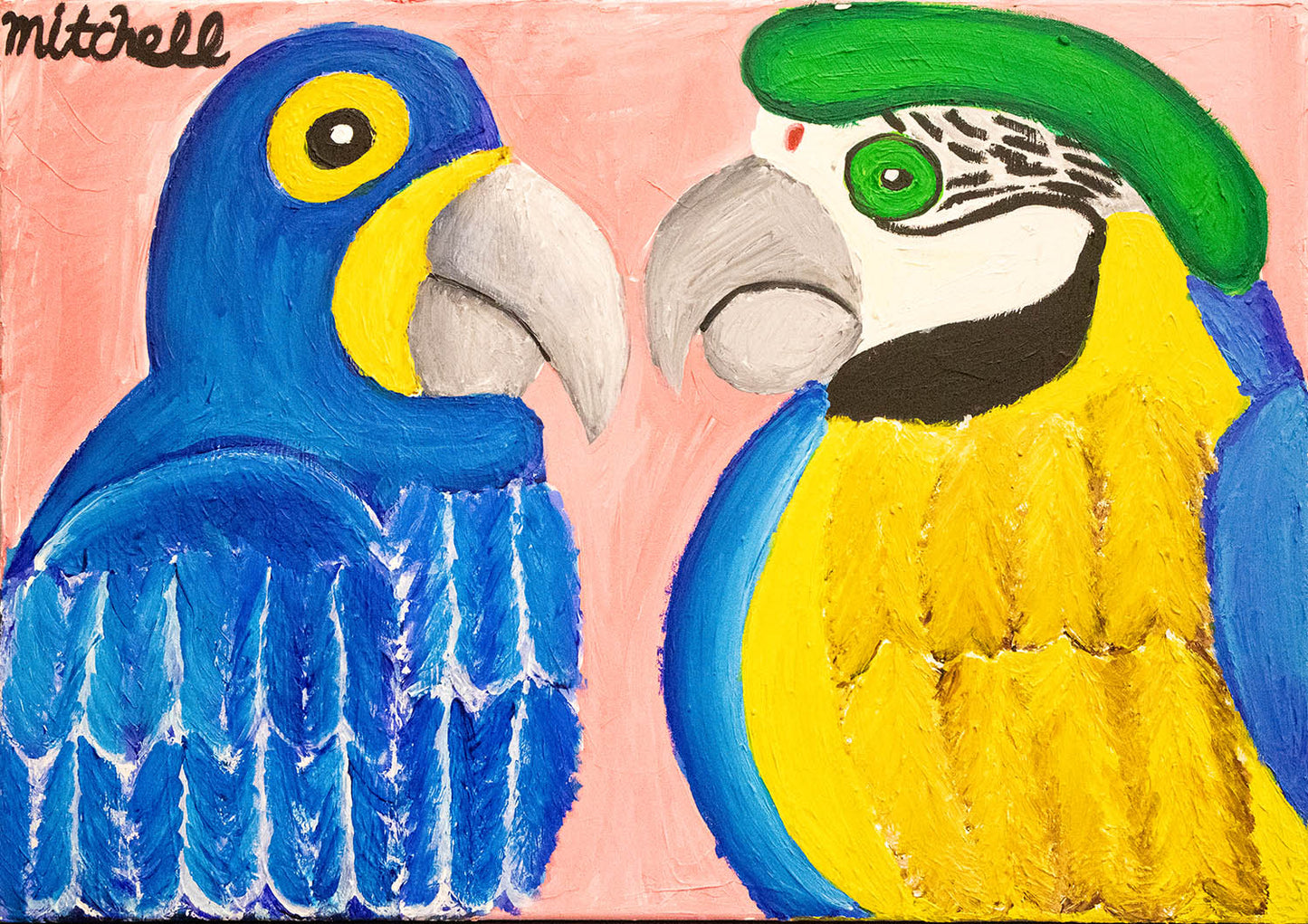 Tropical Birds & Parrots Collection