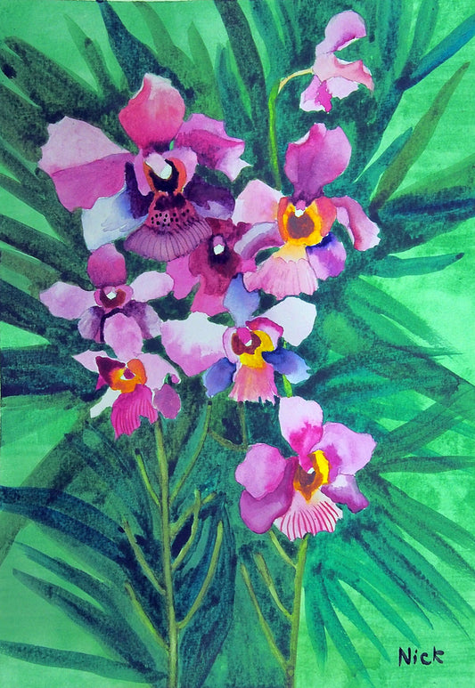 Vanda Miss Joaquim