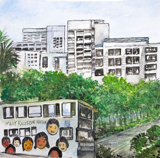 Many Races, One Nation