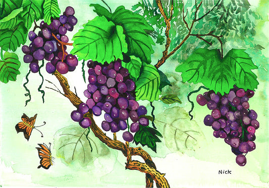 Grapes in Season