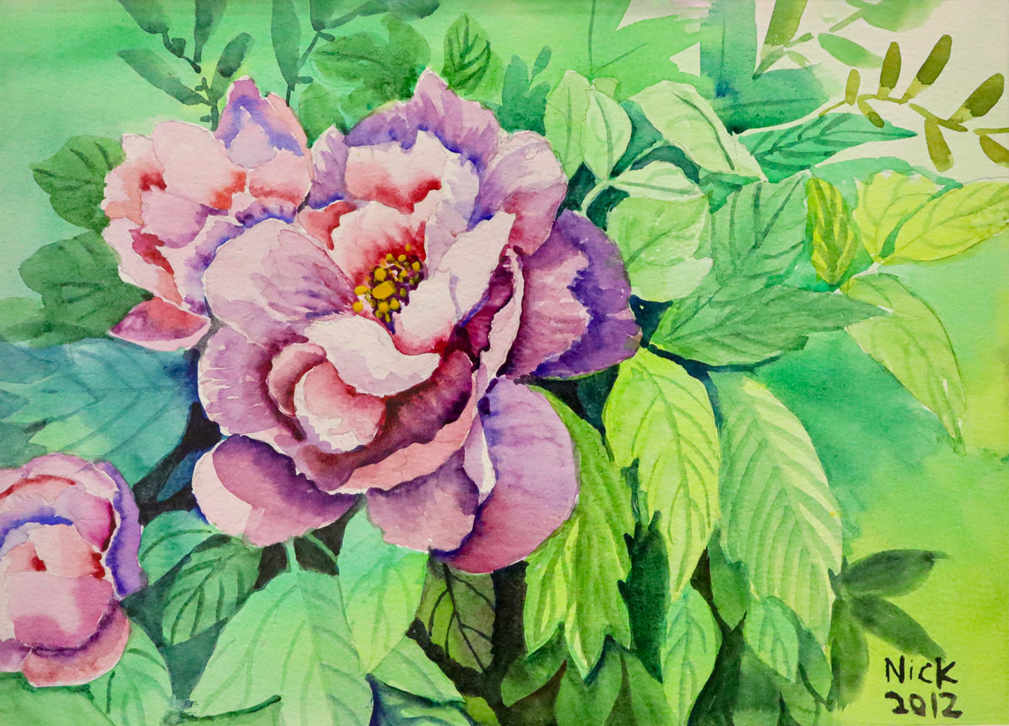 Peony