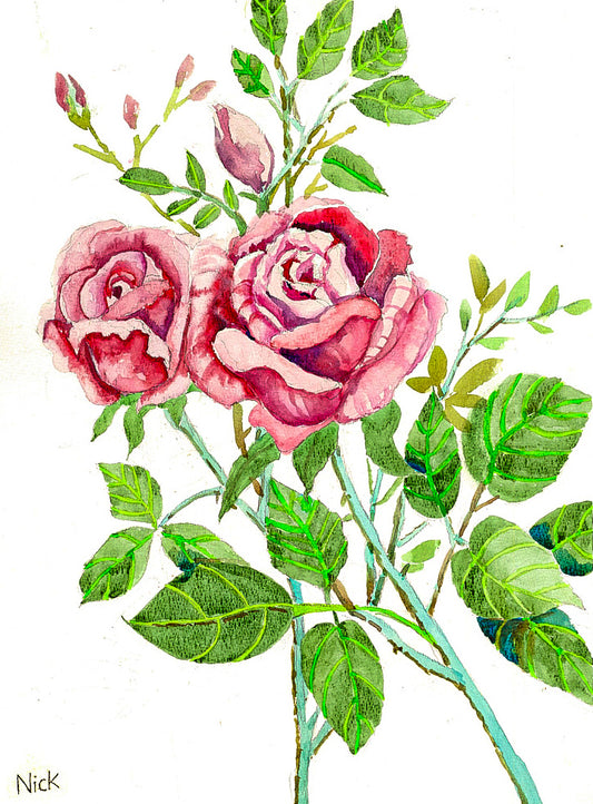 Radiant Roses