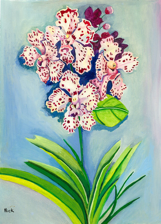 Charming Orchid