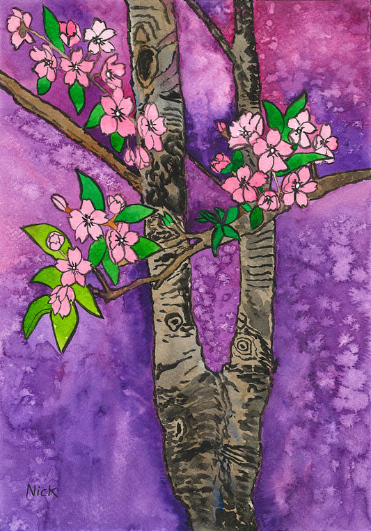 Japanese Cherry Blossom