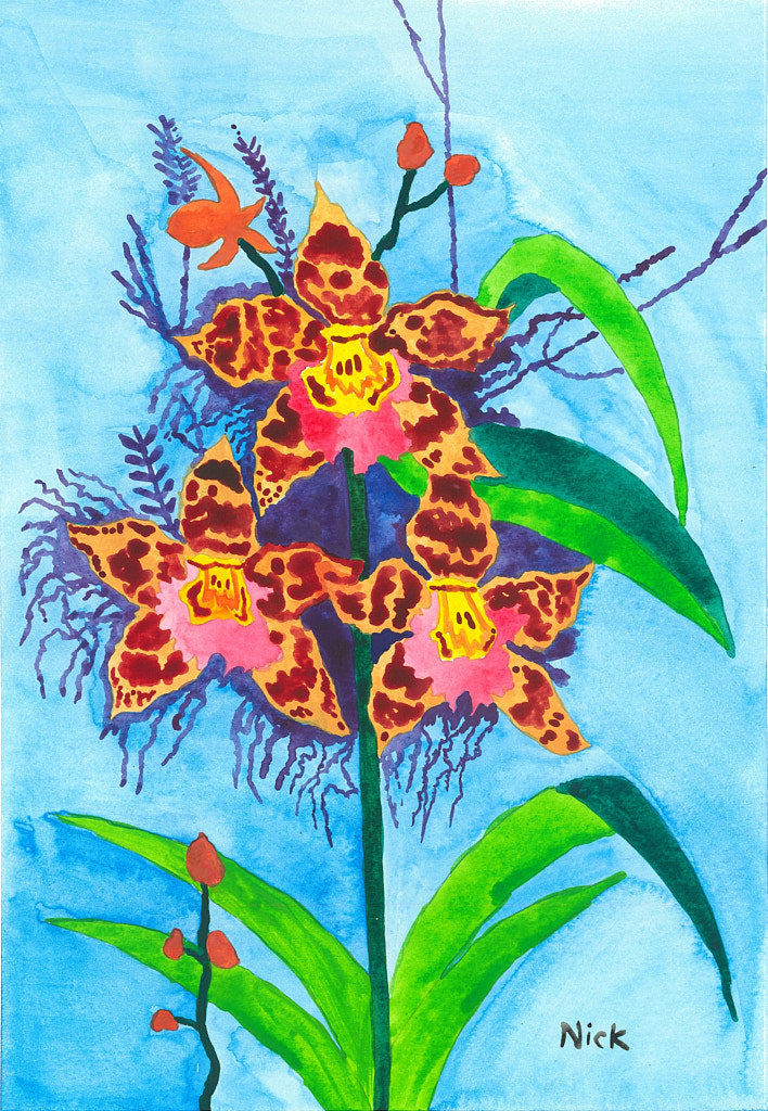 Oncidium