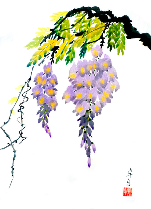 Wisteria