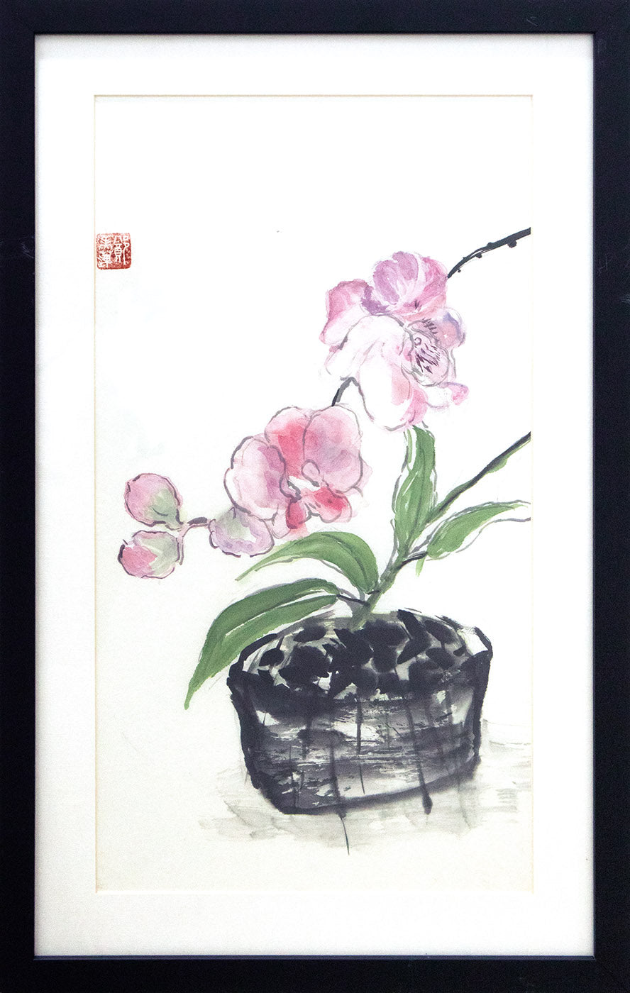 Pink Orchids