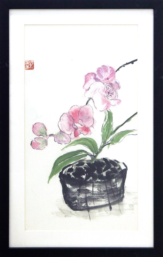Pink Orchids